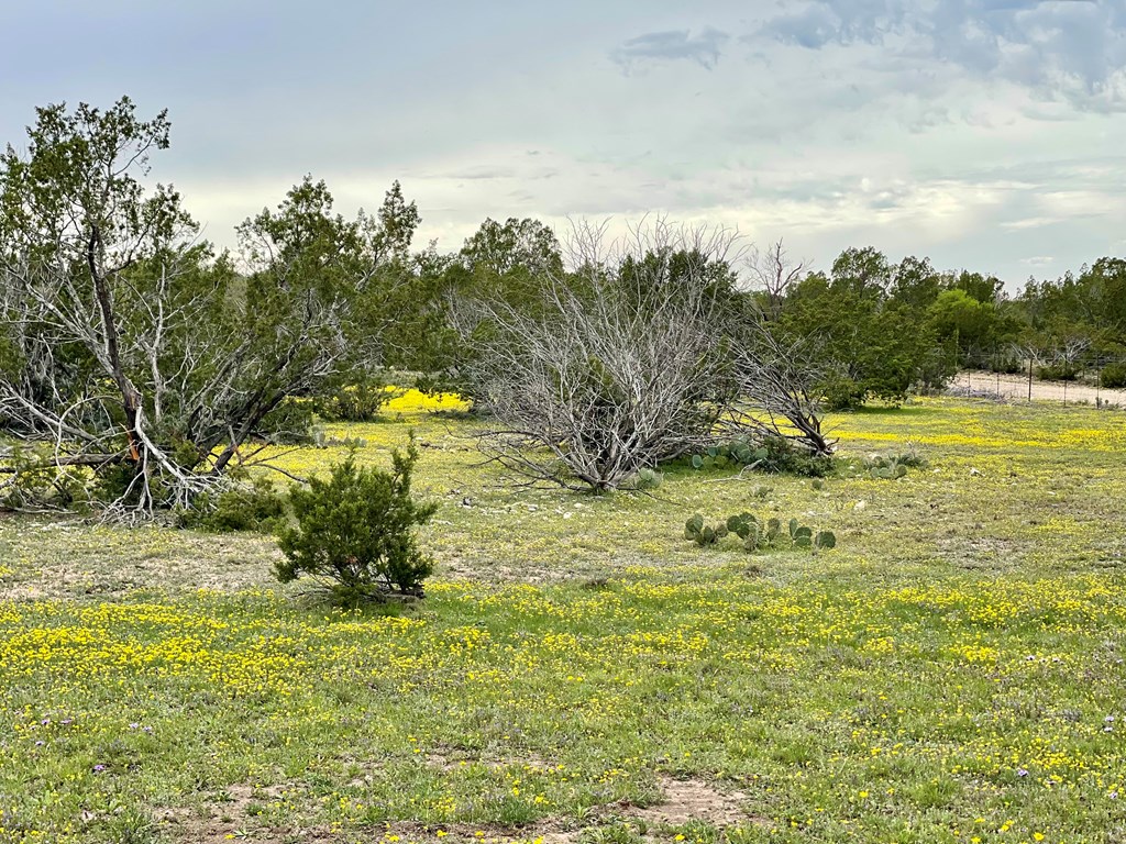 1448 County Rd 312 #TRACT 106, Eldorado, Texas image 13