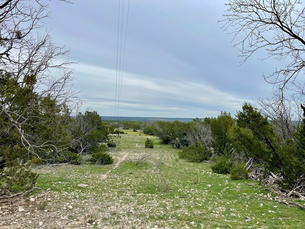 1448 County Rd 312 #TRACT 106, Eldorado, Texas image 12