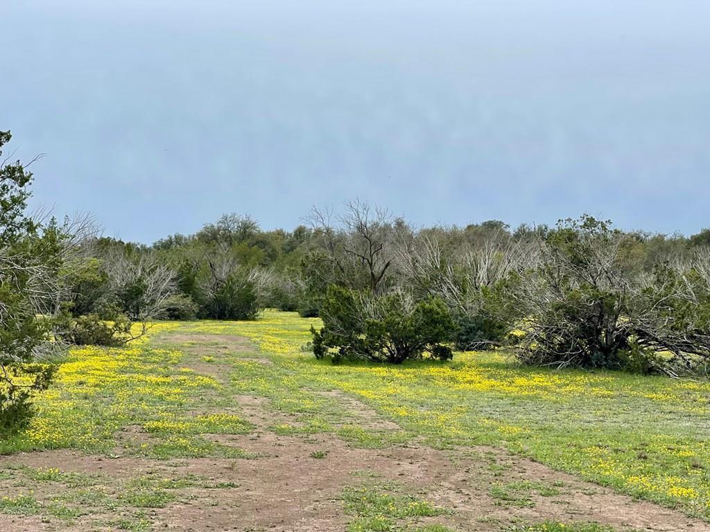 1448 County Rd 312 #TRACT 106, Eldorado, Texas image 1