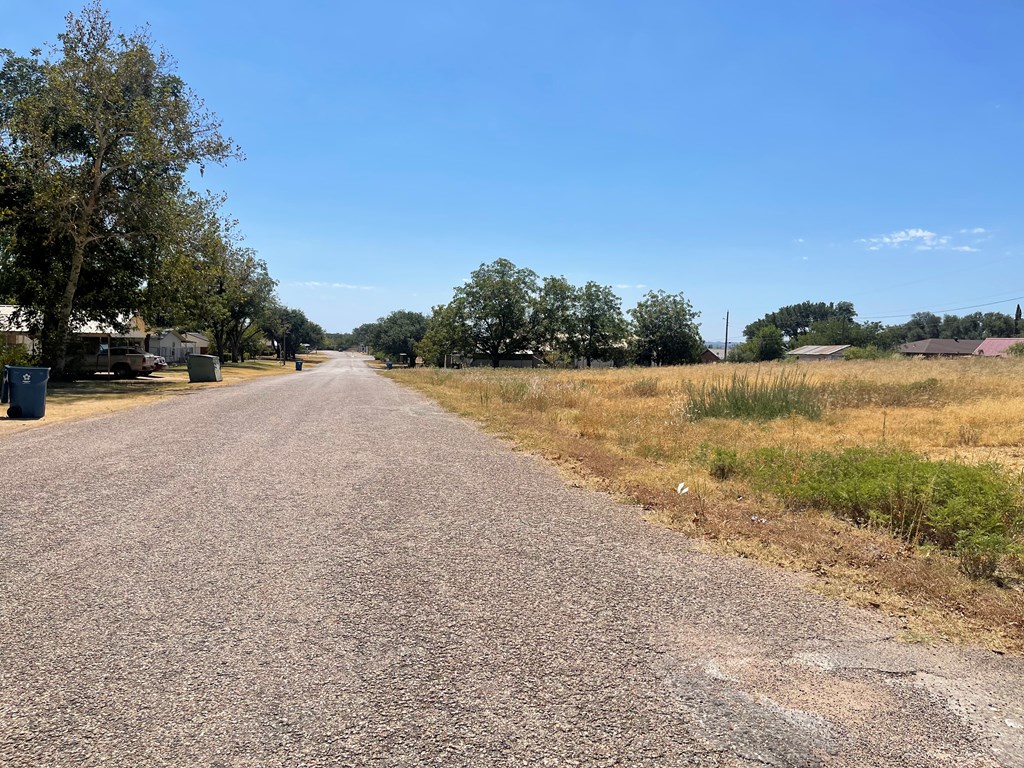 Lot 5 W 15th St #5, Robert Lee, Texas image 3