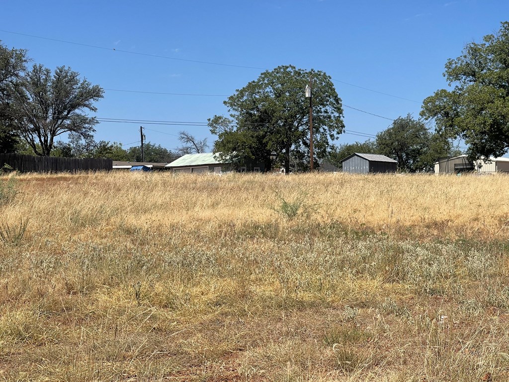 Lot 5 W 15th St #5, Robert Lee, Texas image 4
