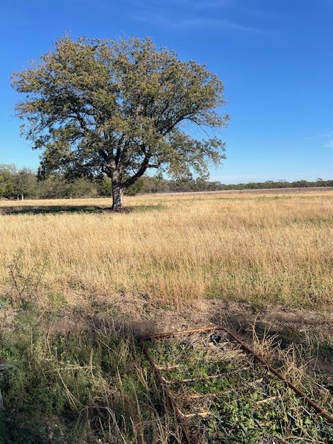 18132 Grand Ave, Mereta, Texas image 12