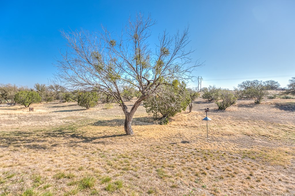 3469 Encino Dr, Christoval, Texas image 10