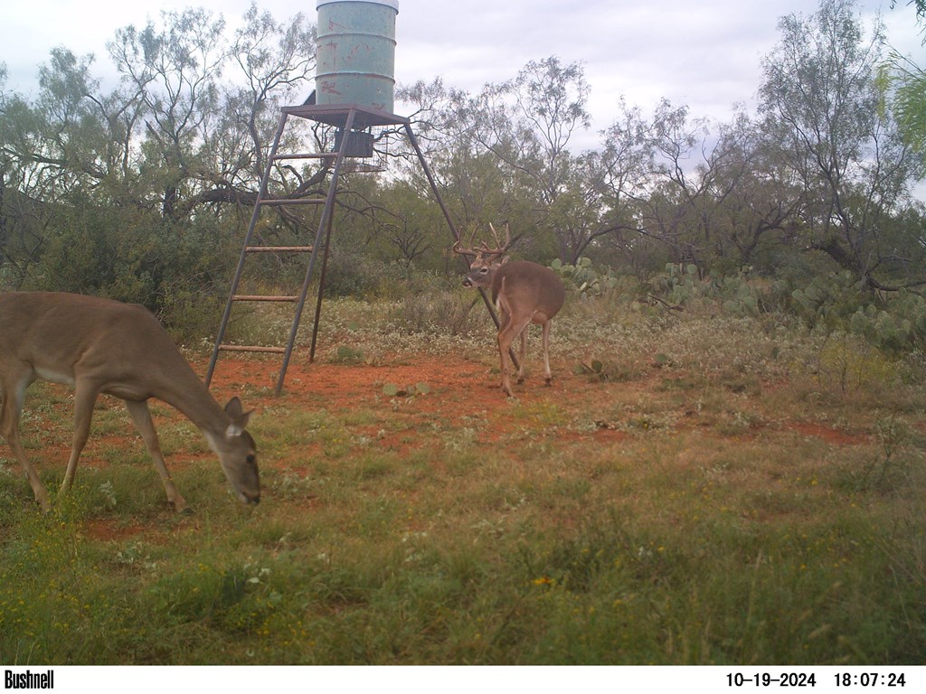 380 Rocky Lane, Tennyson, Texas image 6