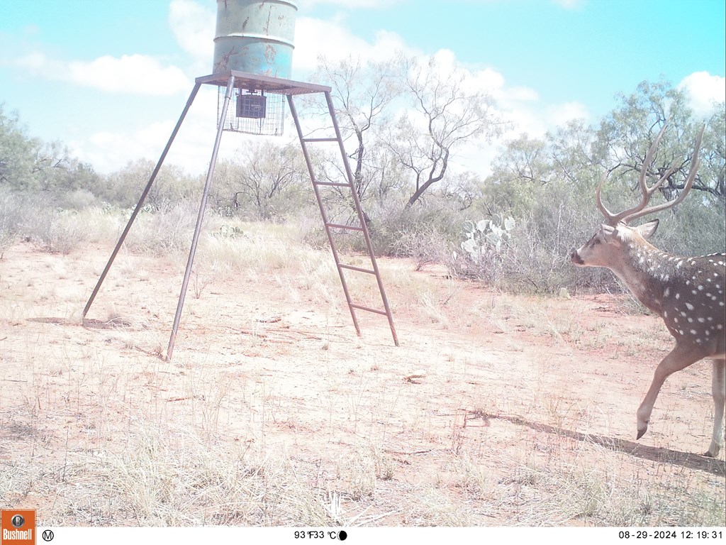 380 Rocky Lane, Tennyson, Texas image 3