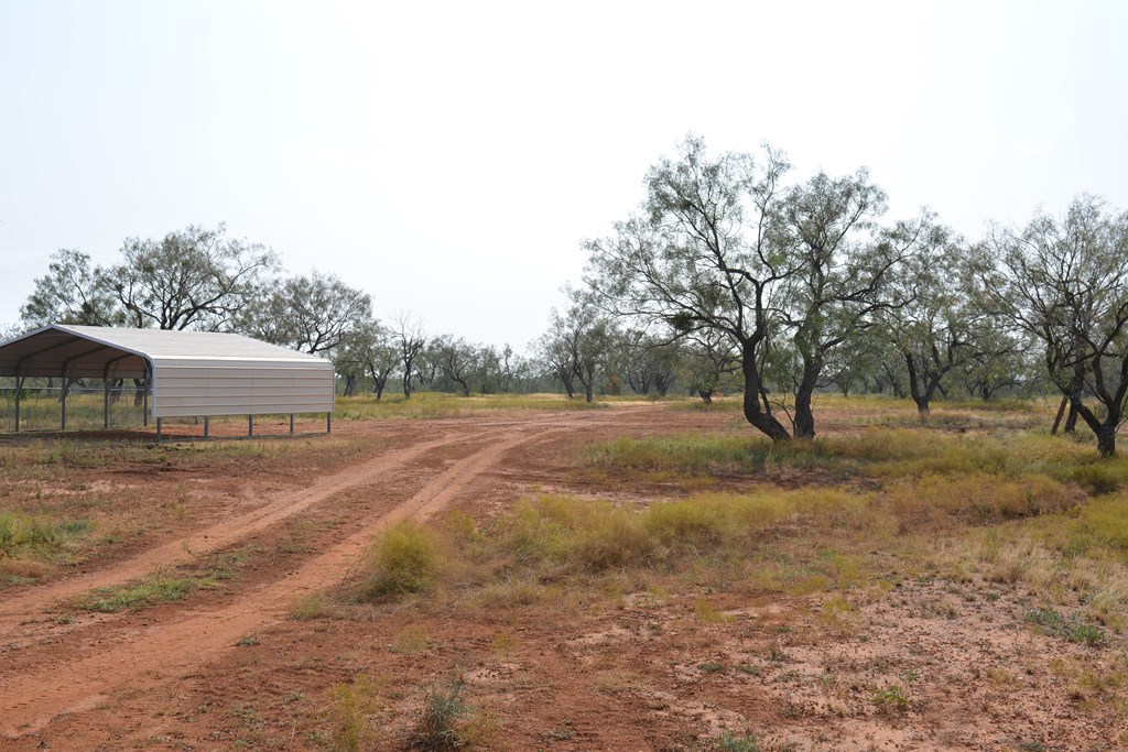 380 Rocky Lane, Tennyson, Texas image 15