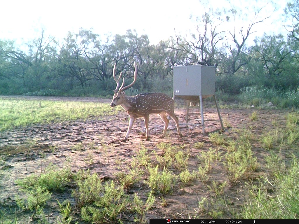 380 Rocky Lane, Tennyson, Texas image 12