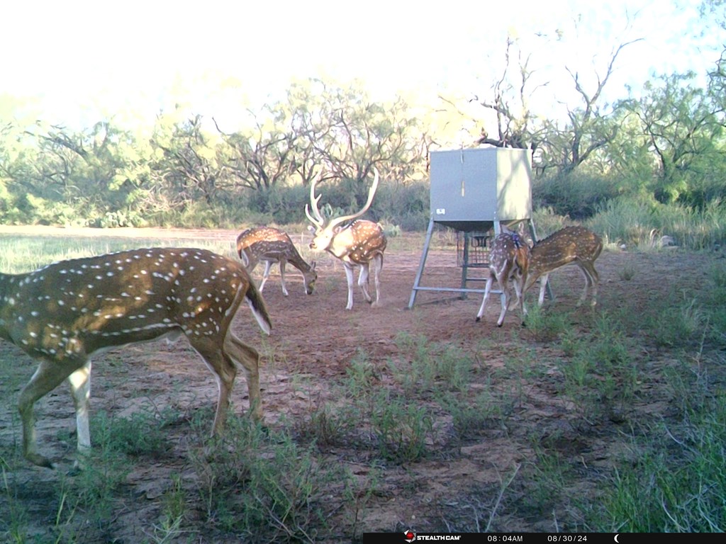 380 Rocky Lane, Tennyson, Texas image 11