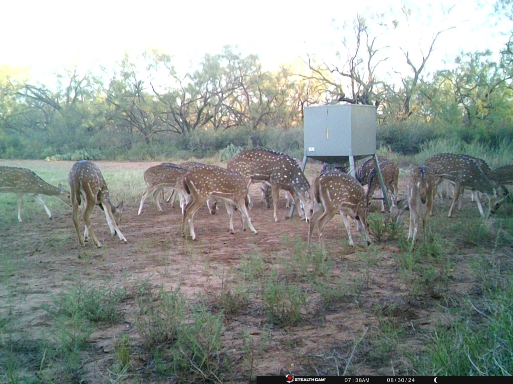 380 Rocky Lane, Tennyson, Texas image 10