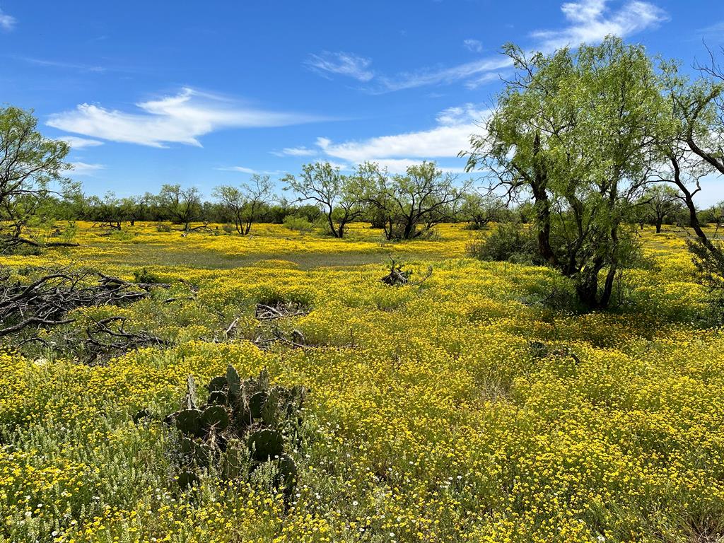 1821 Ranch Rd 864, Sonora, Texas image 40