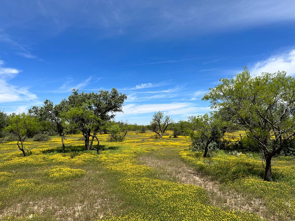 1821 Ranch Rd 864, Sonora, Texas image 42