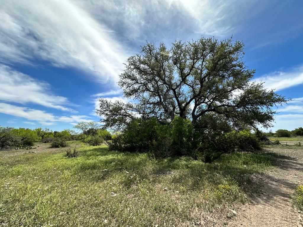 1821 Ranch Rd 864, Sonora, Texas image 23