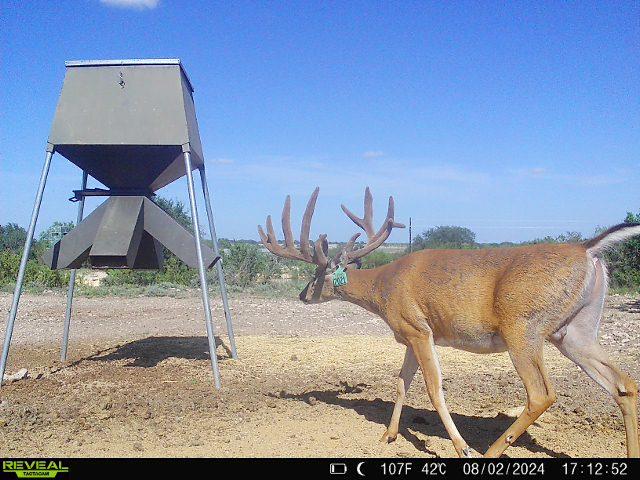 1821 Ranch Rd 864, Sonora, Texas image 1