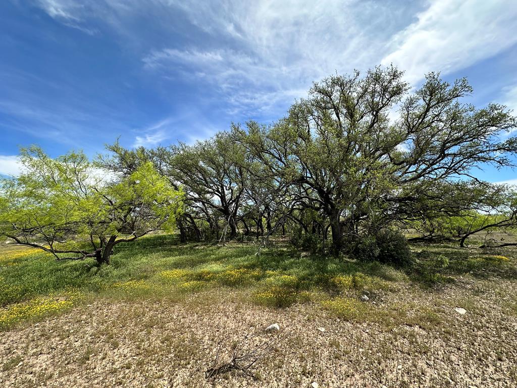 1821 Ranch Rd 864, Sonora, Texas image 46