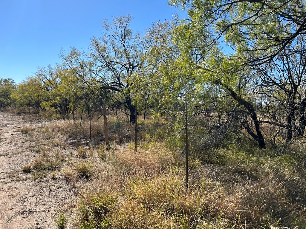 11893 Twin Lakes Lane, San Angelo, Texas image 3