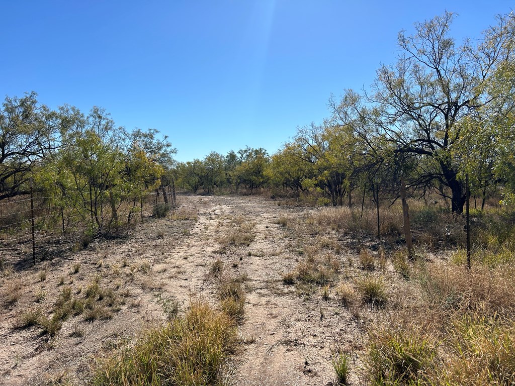 11893 Twin Lakes Lane, San Angelo, Texas image 2