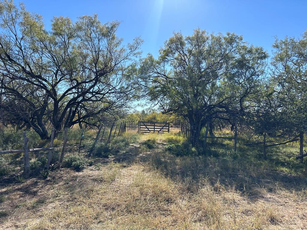 11893 Twin Lakes Lane, San Angelo, Texas image 1