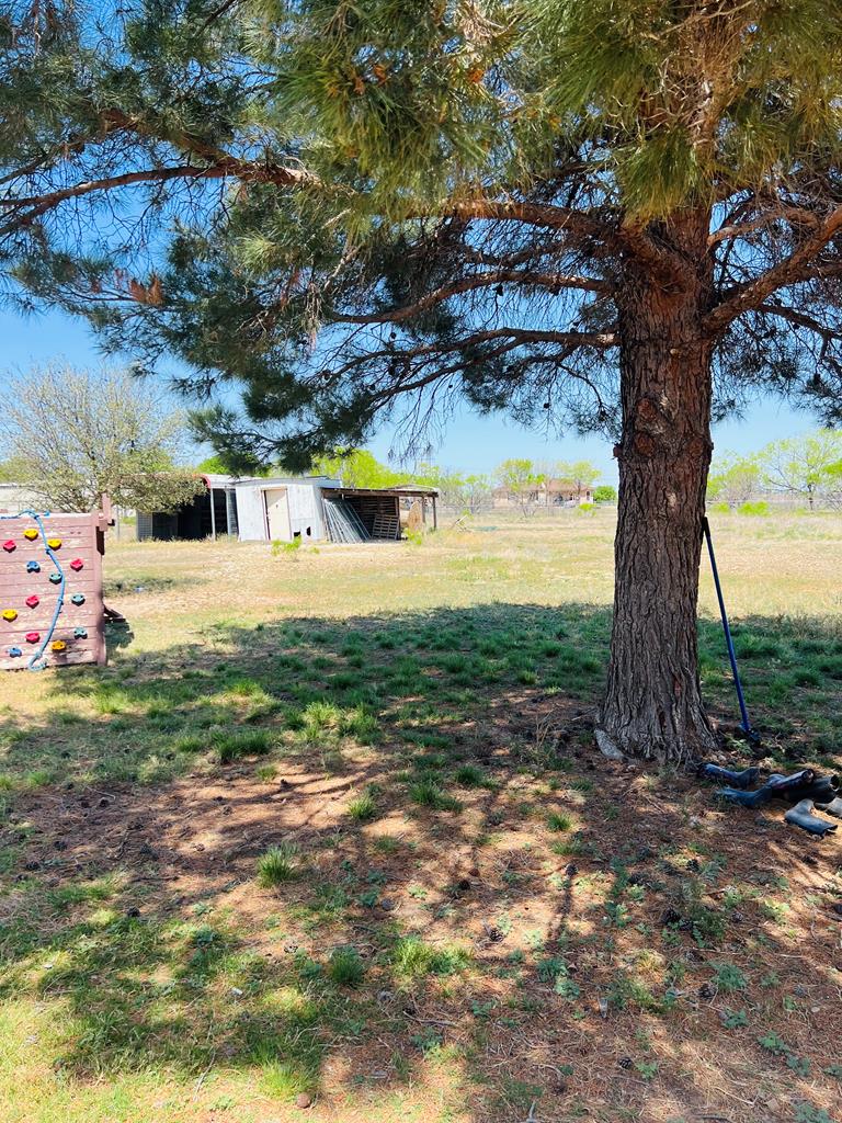 1030 Scott Lane, San Angelo, Texas image 24