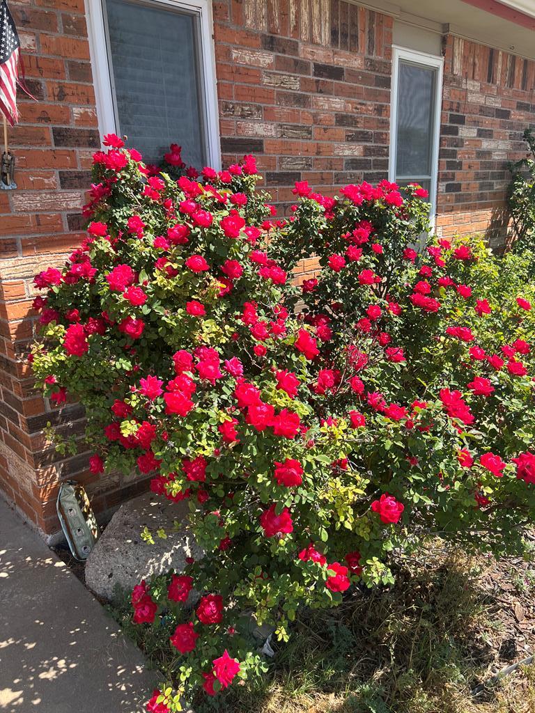 1030 Scott Lane, San Angelo, Texas image 3