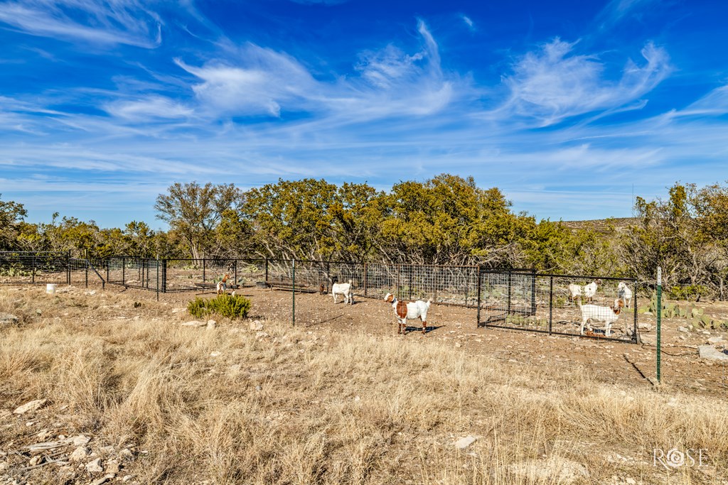 3130 Caden Lane, Christoval, Texas image 41