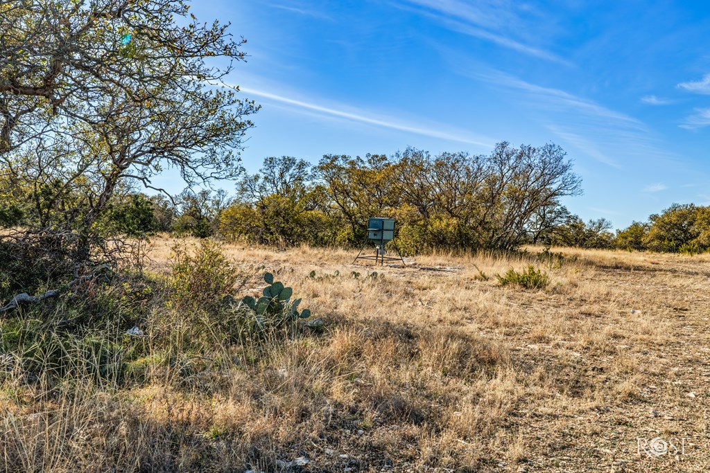 3130 Caden Lane, Christoval, Texas image 42