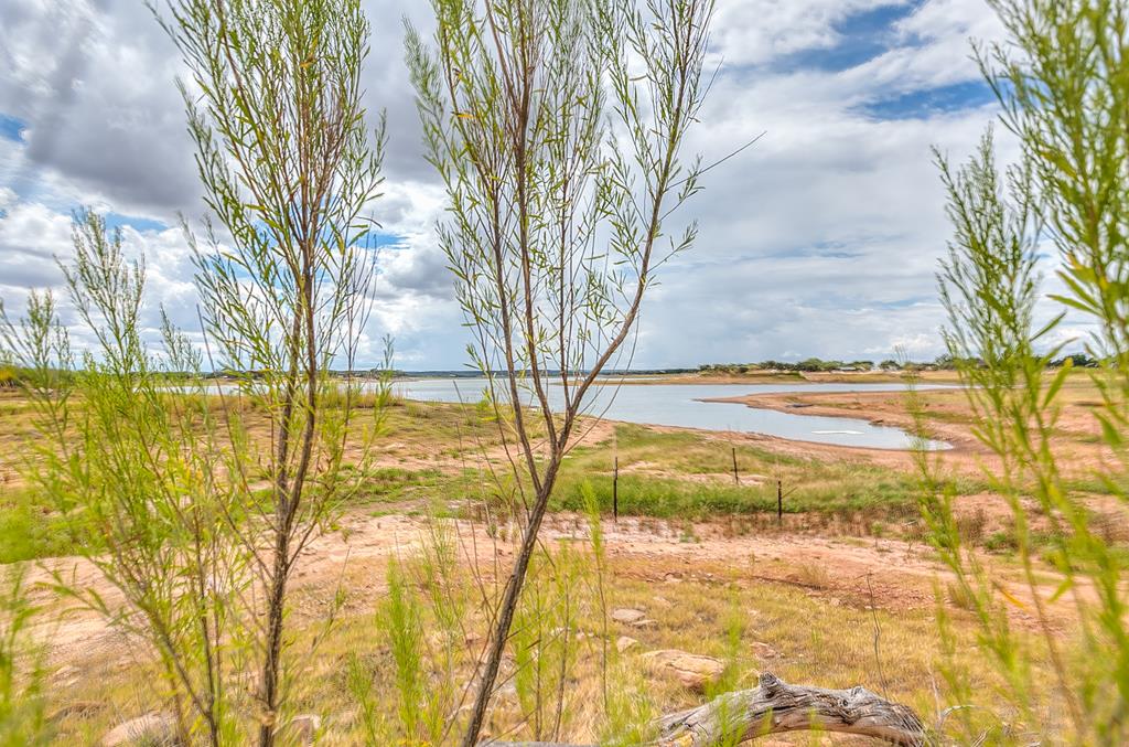 778 Lake Dam Rd, Blackwell, Texas image 35