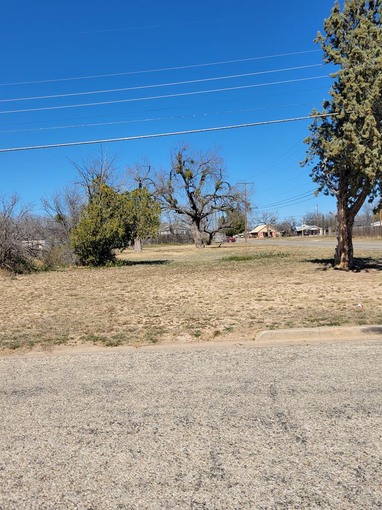 1230 Culberson St #16, San Angelo, Texas image 1