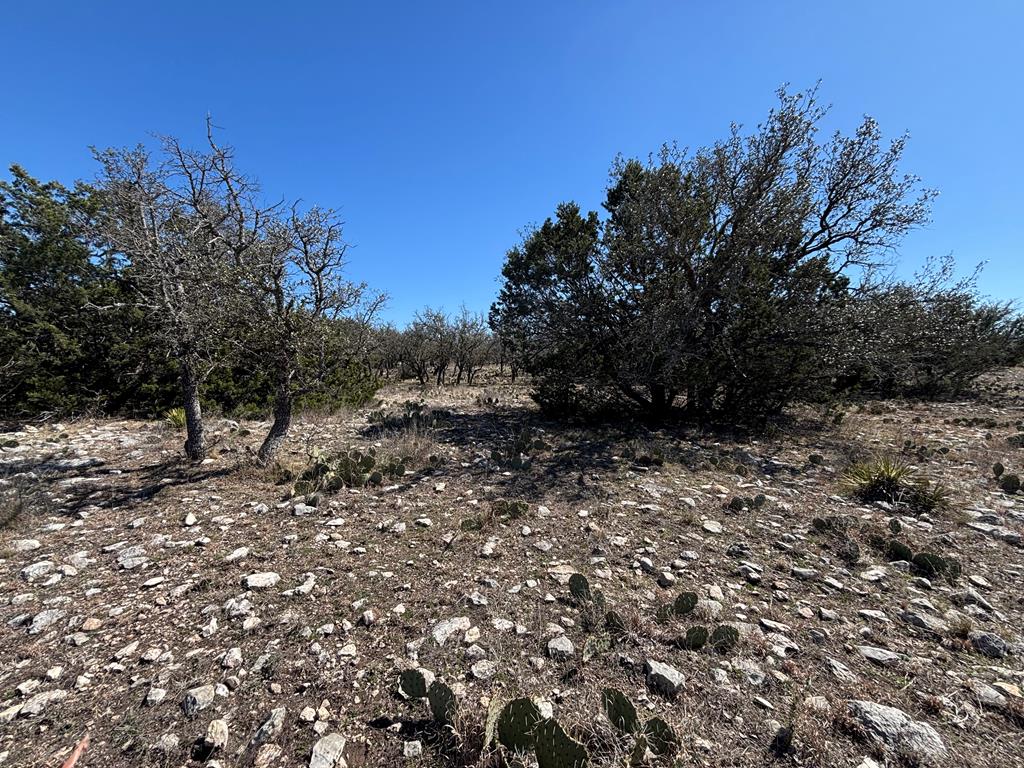 221 Turkey Run Rd #27, Eldorado, Texas image 8