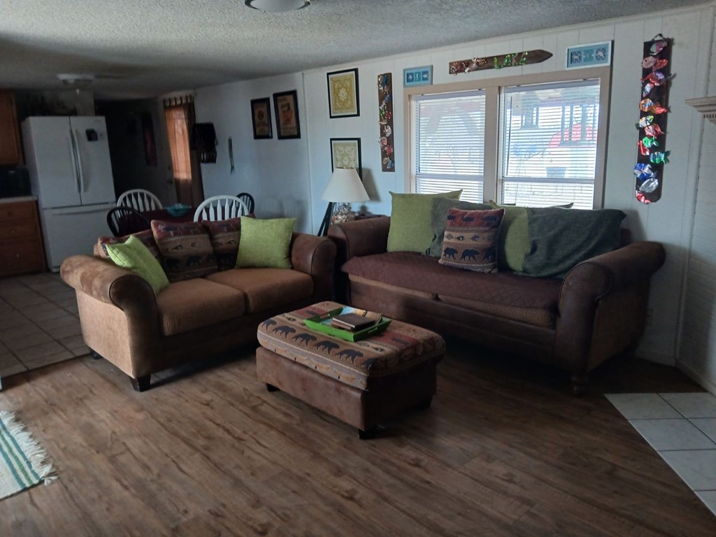 11033 Wink Lane, Paint Rock, Texas image 3