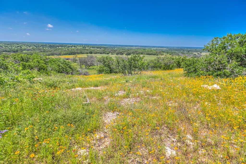 16967 County Rd 290, Zephyr, Texas image 49