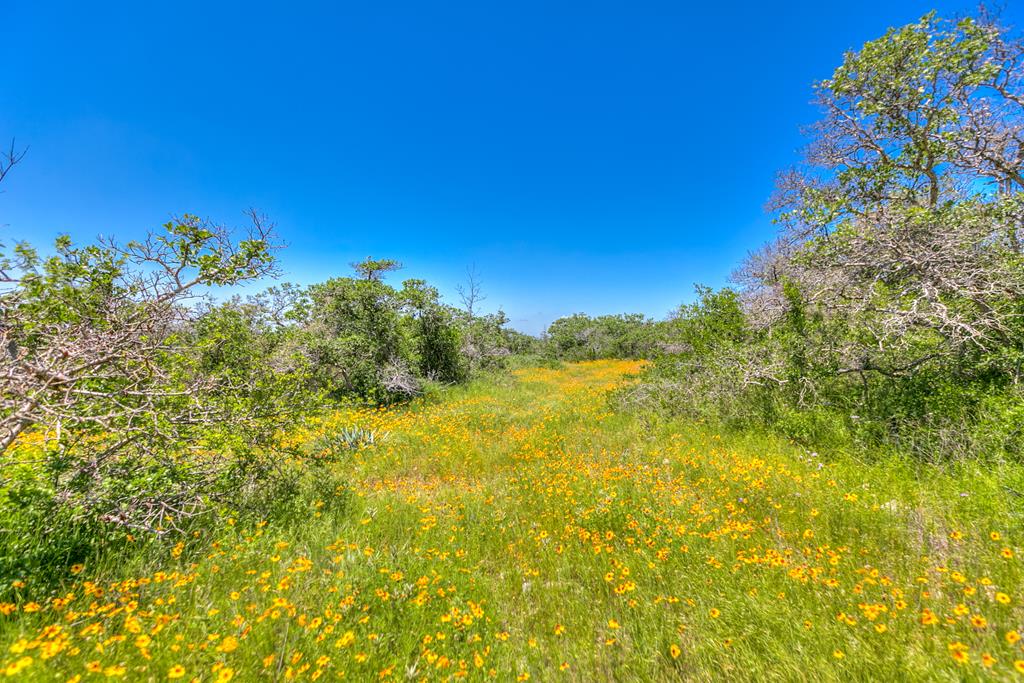 16967 County Rd 290, Zephyr, Texas image 47