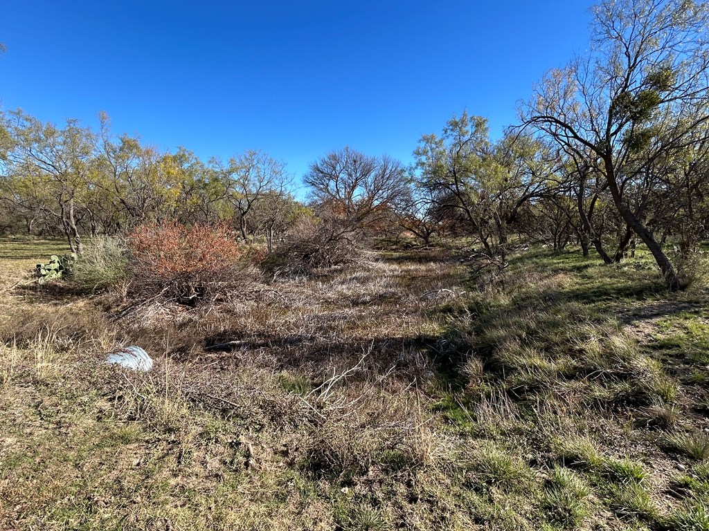 12056 Spring Creek Lane, San Angelo, Texas image 8