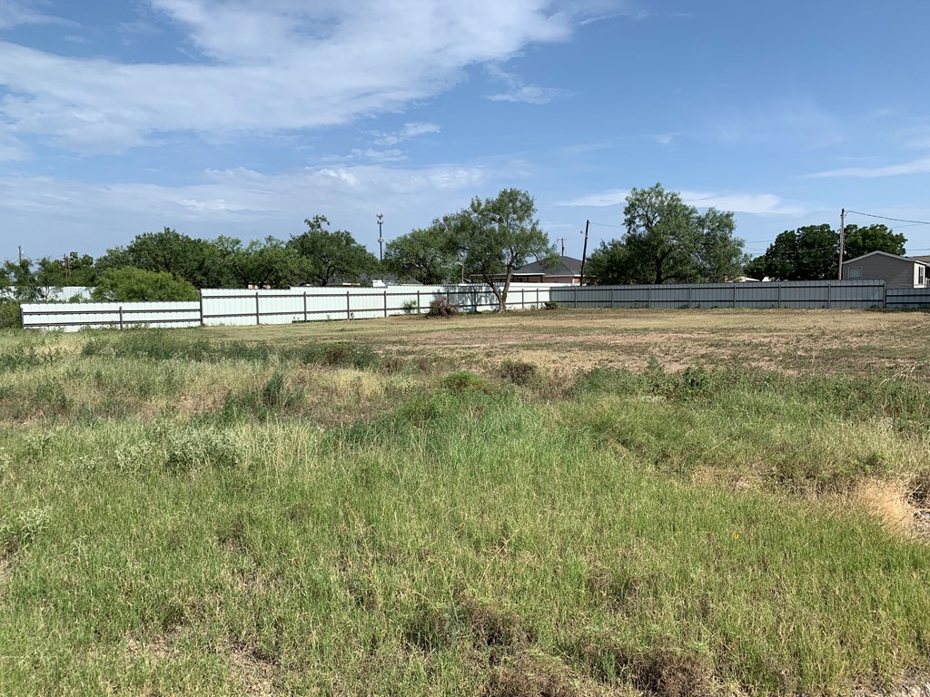 1838 La Follette St #LOT: 37 THRU 40, San Angelo, Texas image 4