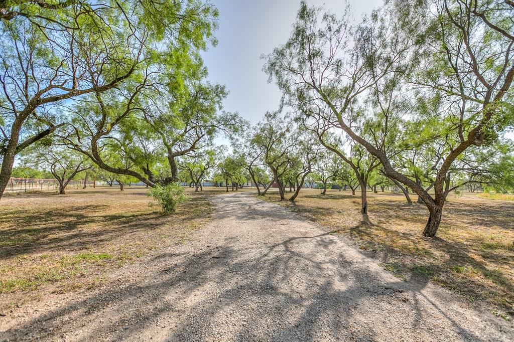 10985 Buck Hollow Loop, Carlsbad, Texas image 1