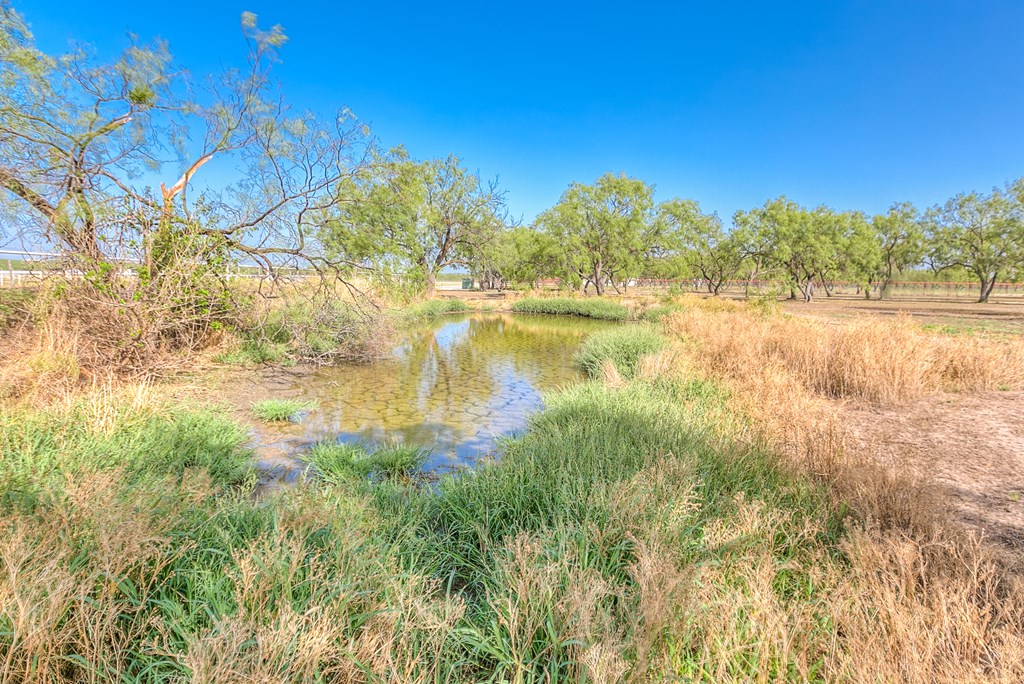 10985 Buck Hollow Loop, Carlsbad, Texas image 34