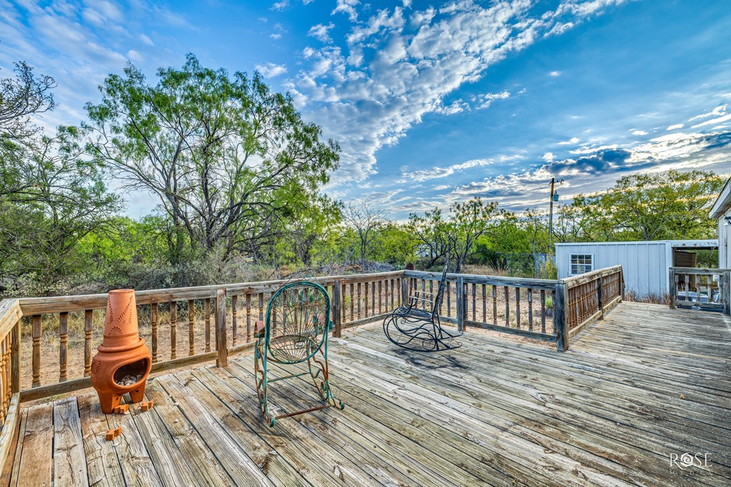 14088 Fawn Dr, Carlsbad, Texas image 3