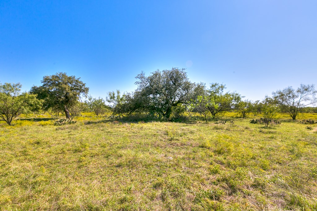 County Rd 478 #85 ACRES, Coleman, Texas image 2