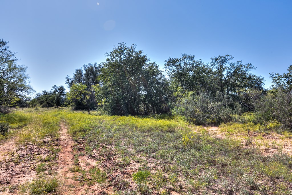 County Rd 478 #85 ACRES, Coleman, Texas image 11