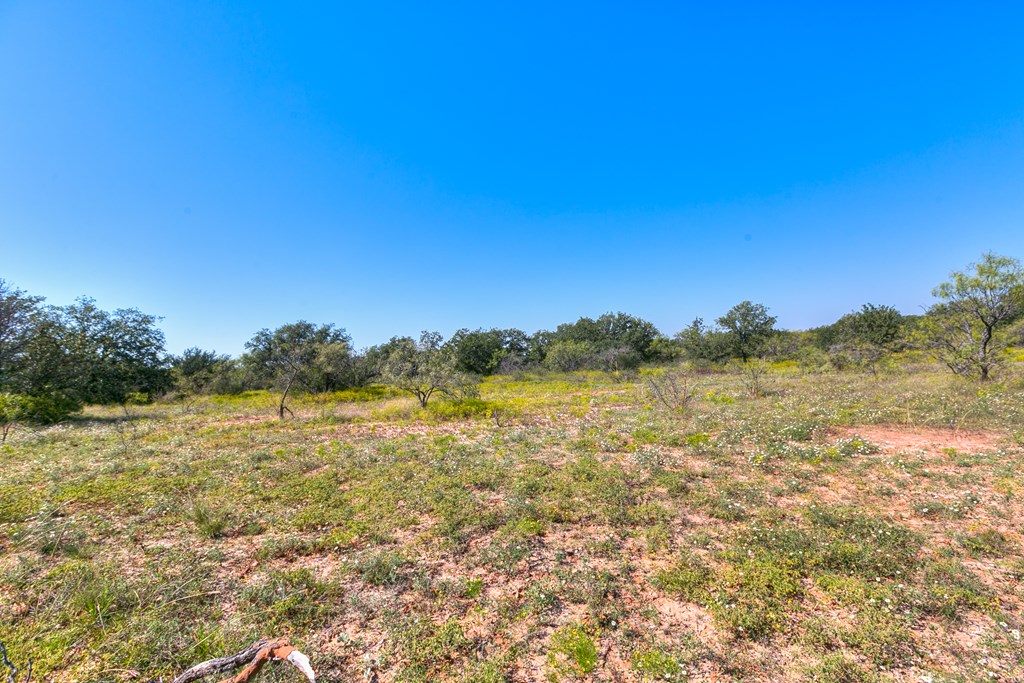 County Rd 478 #85 ACRES, Coleman, Texas image 12