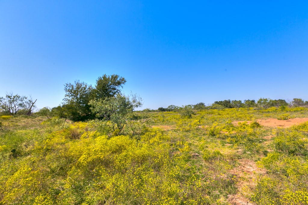 County Rd 478 #85 ACRES, Coleman, Texas image 5