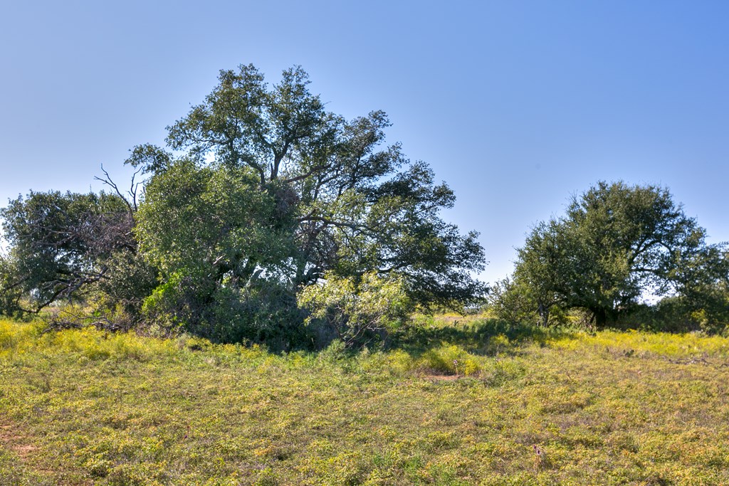 County Rd 478 #85 ACRES, Coleman, Texas image 7