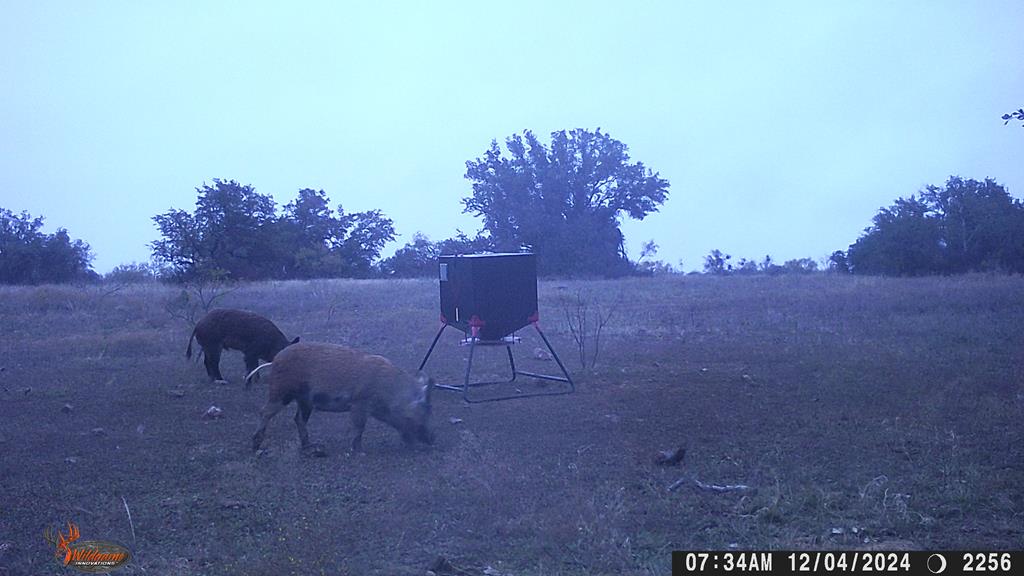 County Rd 478 #85 ACRES, Coleman, Texas image 18