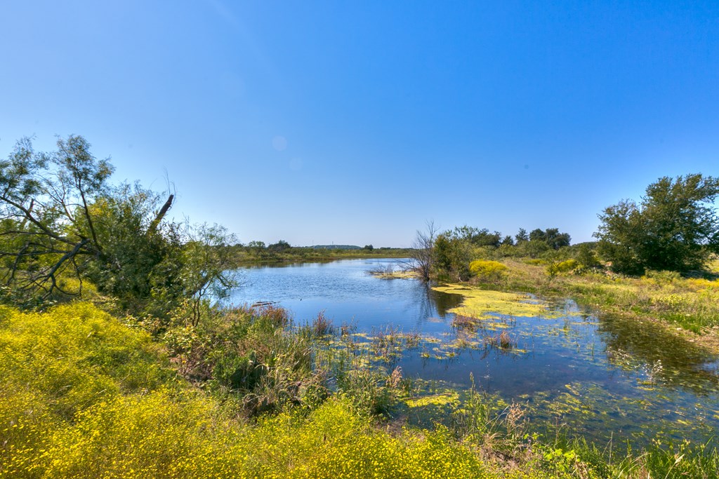 County Rd 478 #85 ACRES, Coleman, Texas image 6