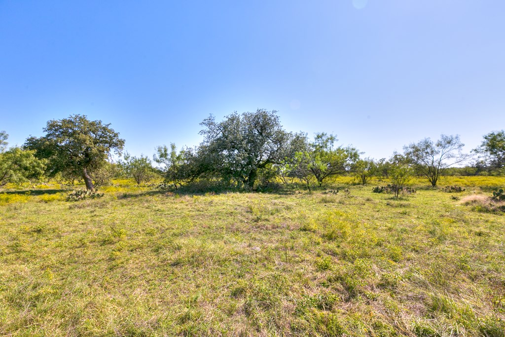 County Rd 478 #85 ACRES, Coleman, Texas image 4