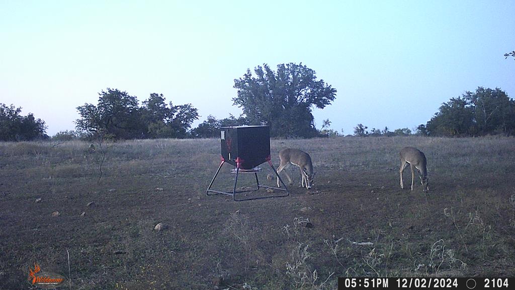 County Rd 478 #85 ACRES, Coleman, Texas image 16