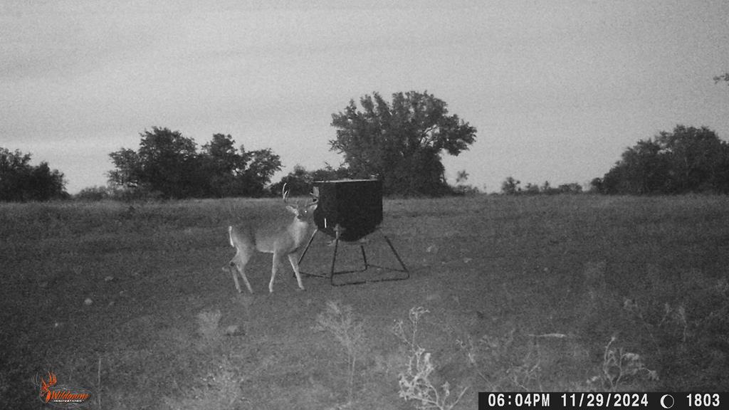 County Rd 478 #85 ACRES, Coleman, Texas image 13