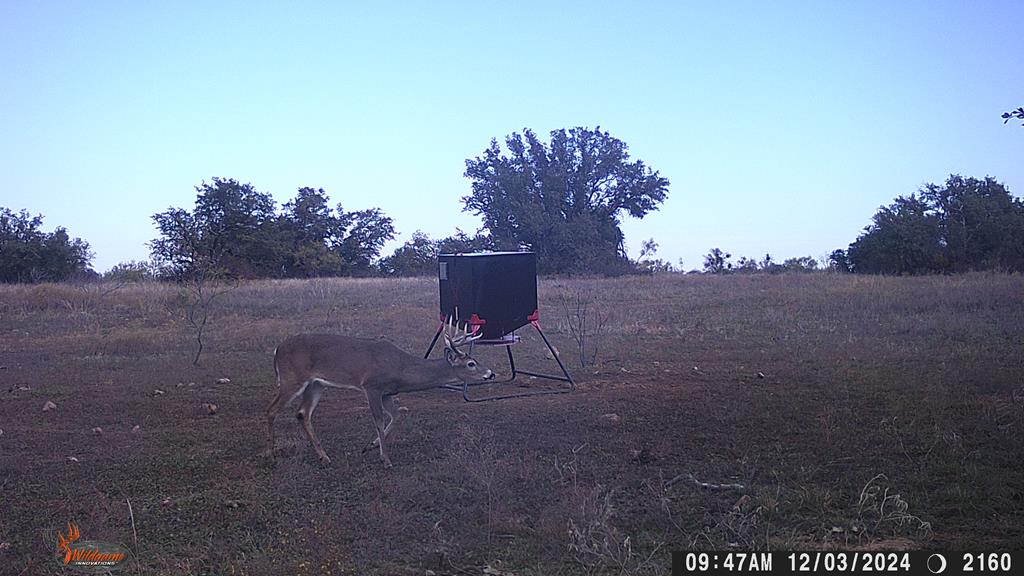 County Rd 478 #85 ACRES, Coleman, Texas image 17