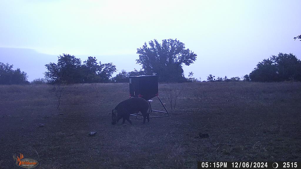 County Rd 478 #85 ACRES, Coleman, Texas image 20