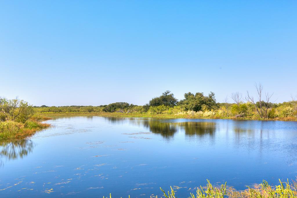 County Rd 478 #85 ACRES, Coleman, Texas image 1