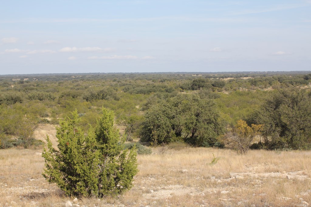 12565 County Road 2246, Eden, Texas image 26